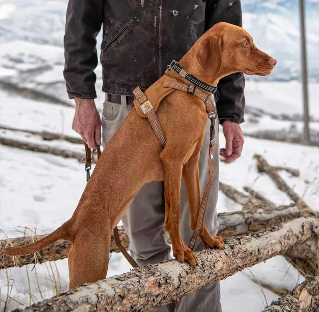 Carhartt カーハート 犬用ハーネス 正品 3M反射板付