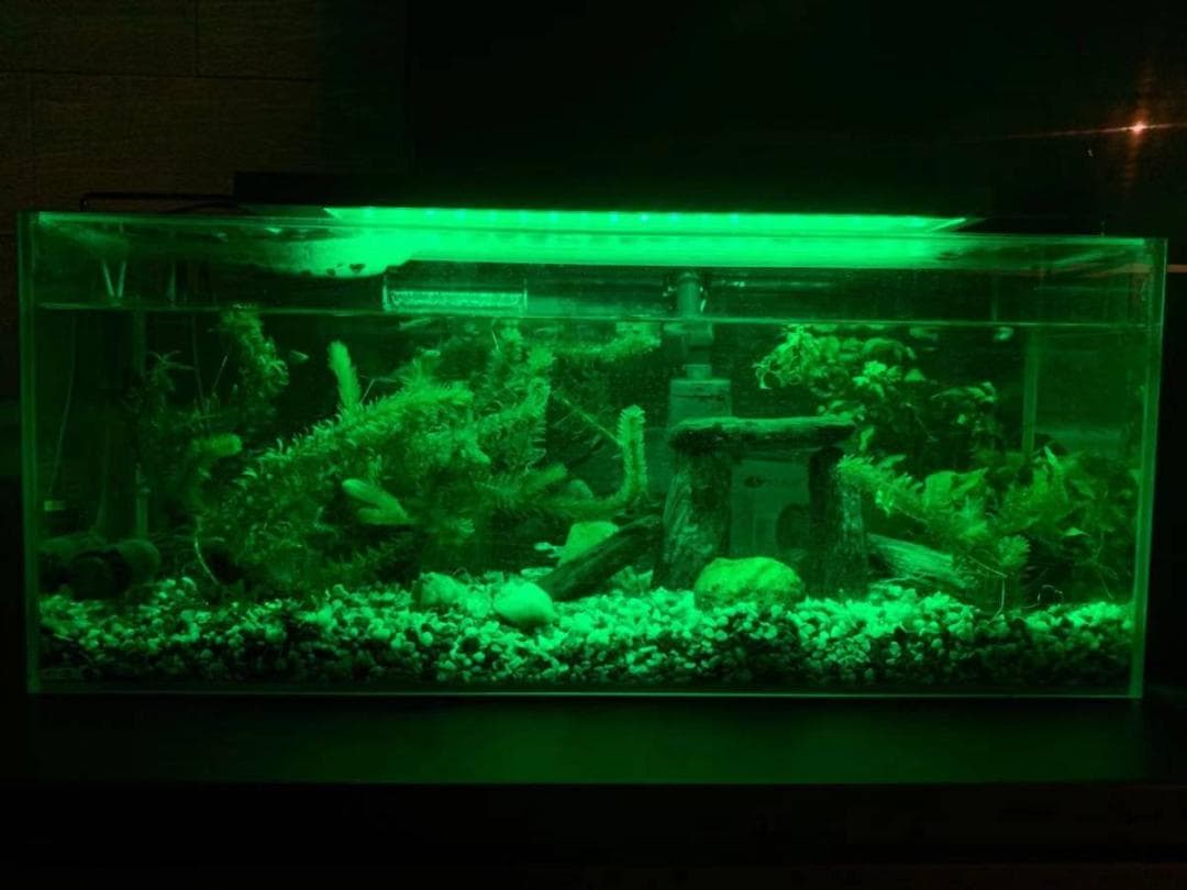 ドラちゃん 　2台LED 水槽 アクアリウムライト 45cm～60cm