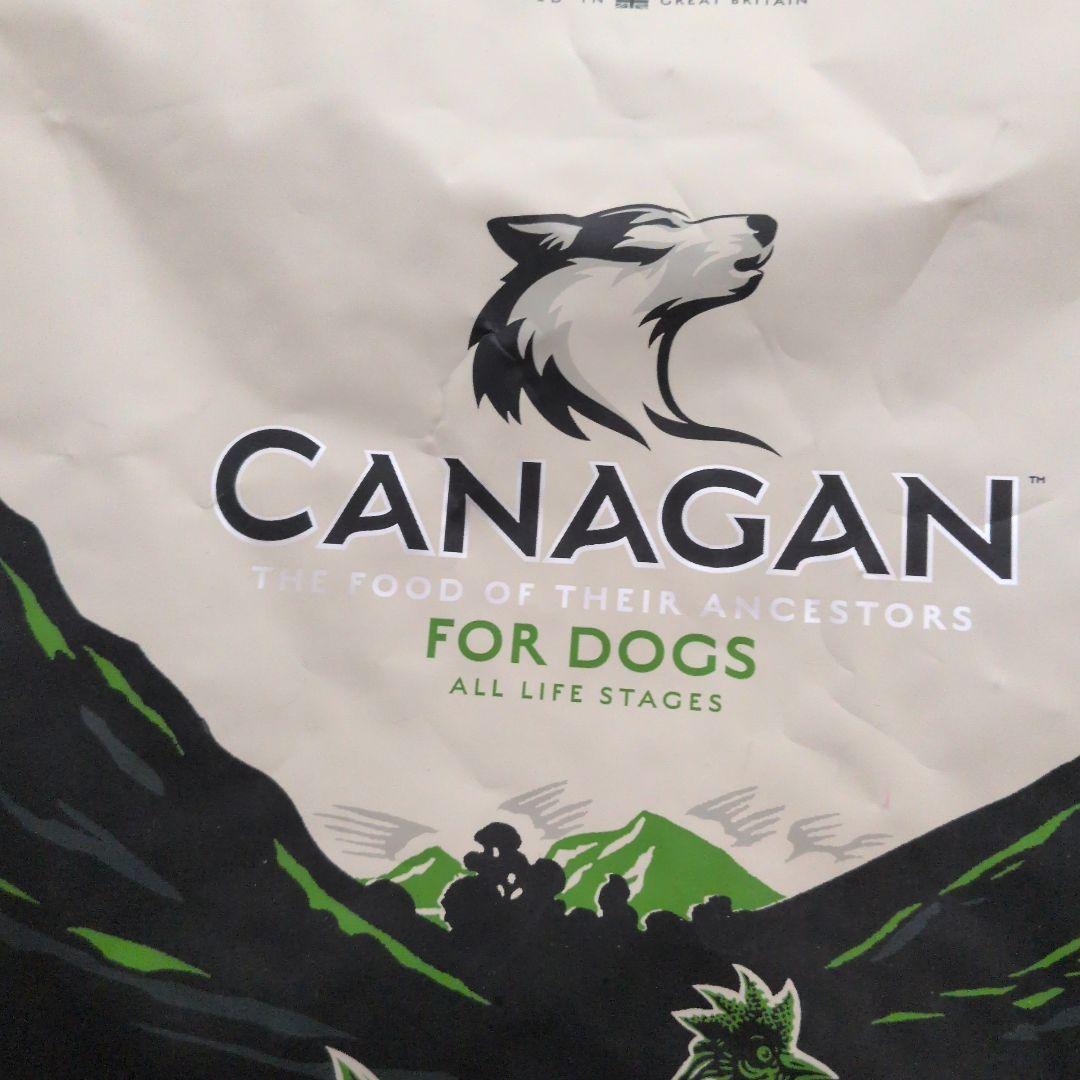 賞味期限　2026/1/14 CANAGAN ドッグフード チキン 2kg　×2