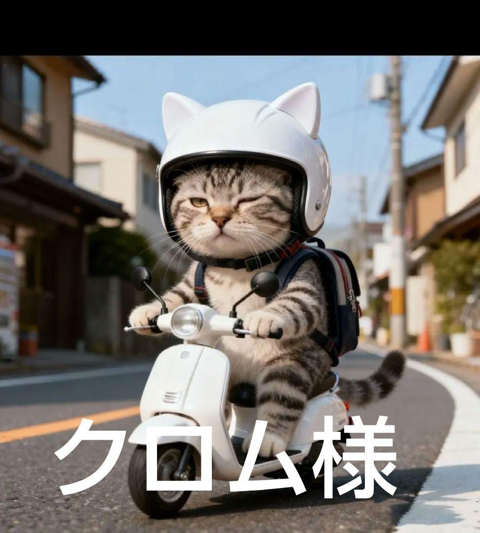 オーダーページ　ハンカチ　285 ねこちゃん柄1/17