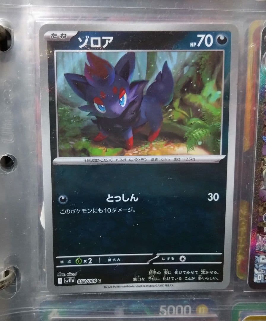 Nのゾロアークex SAR ポケモンカード メガドリームex　おまけ付き