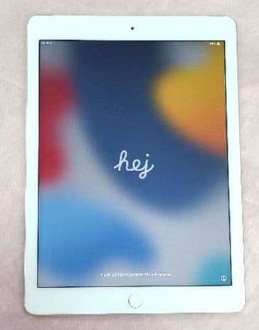 Apple iPad Air2 MH1C2J/A イヤホン