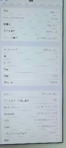 Apple iPad Air2 MH1C2J/A イヤホン