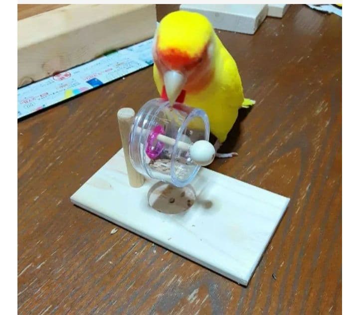DD21　⭐　ミラーボードとフォージングトイセット(大)⭐　インコ　バードトイ