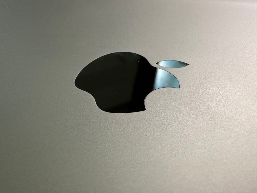 専用　Apple iPad pro 11インチ