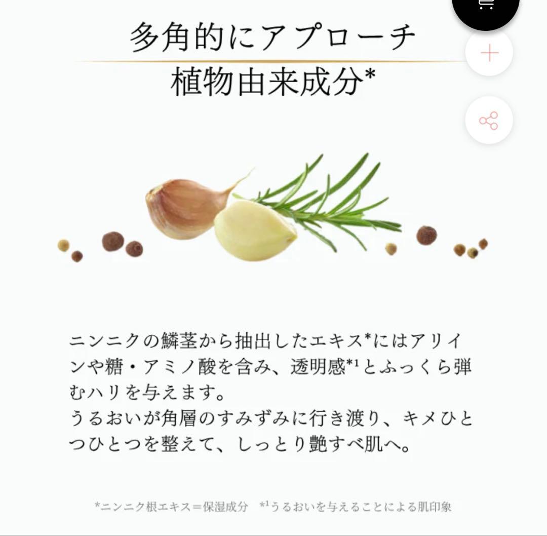 GARLINU ガリーヌ スペシャルビューティーセット