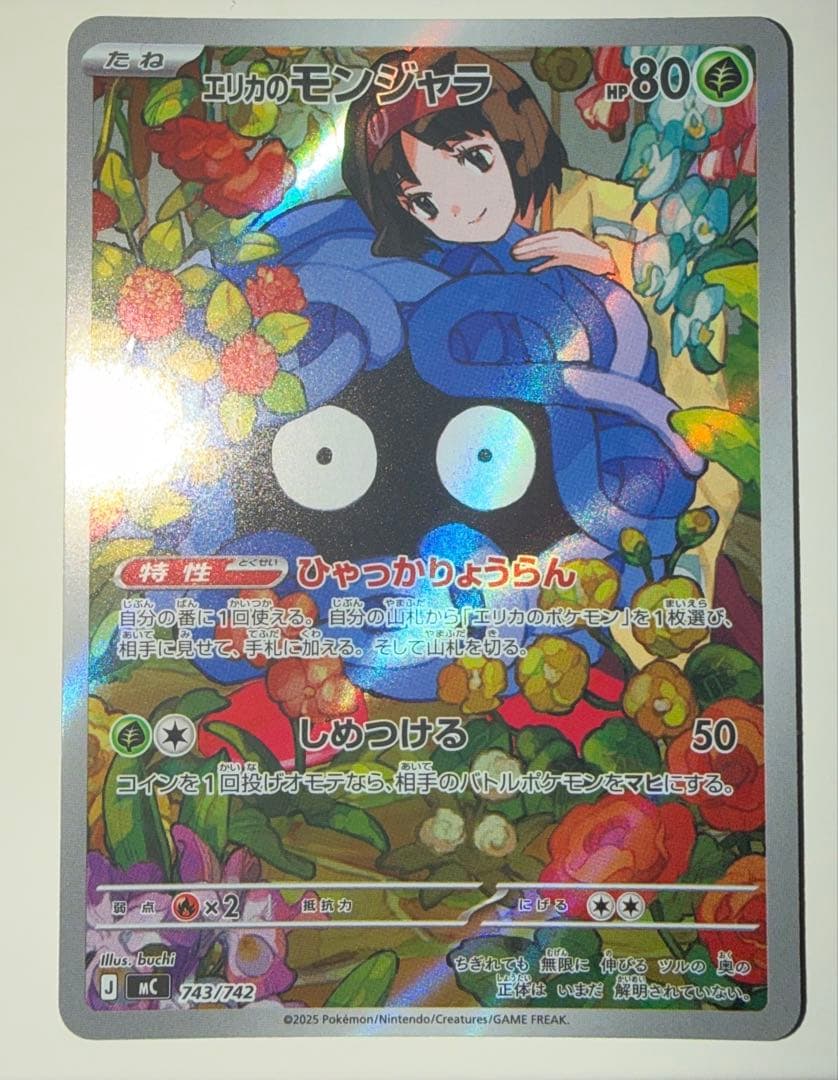 美品　エリカのモンジャラ