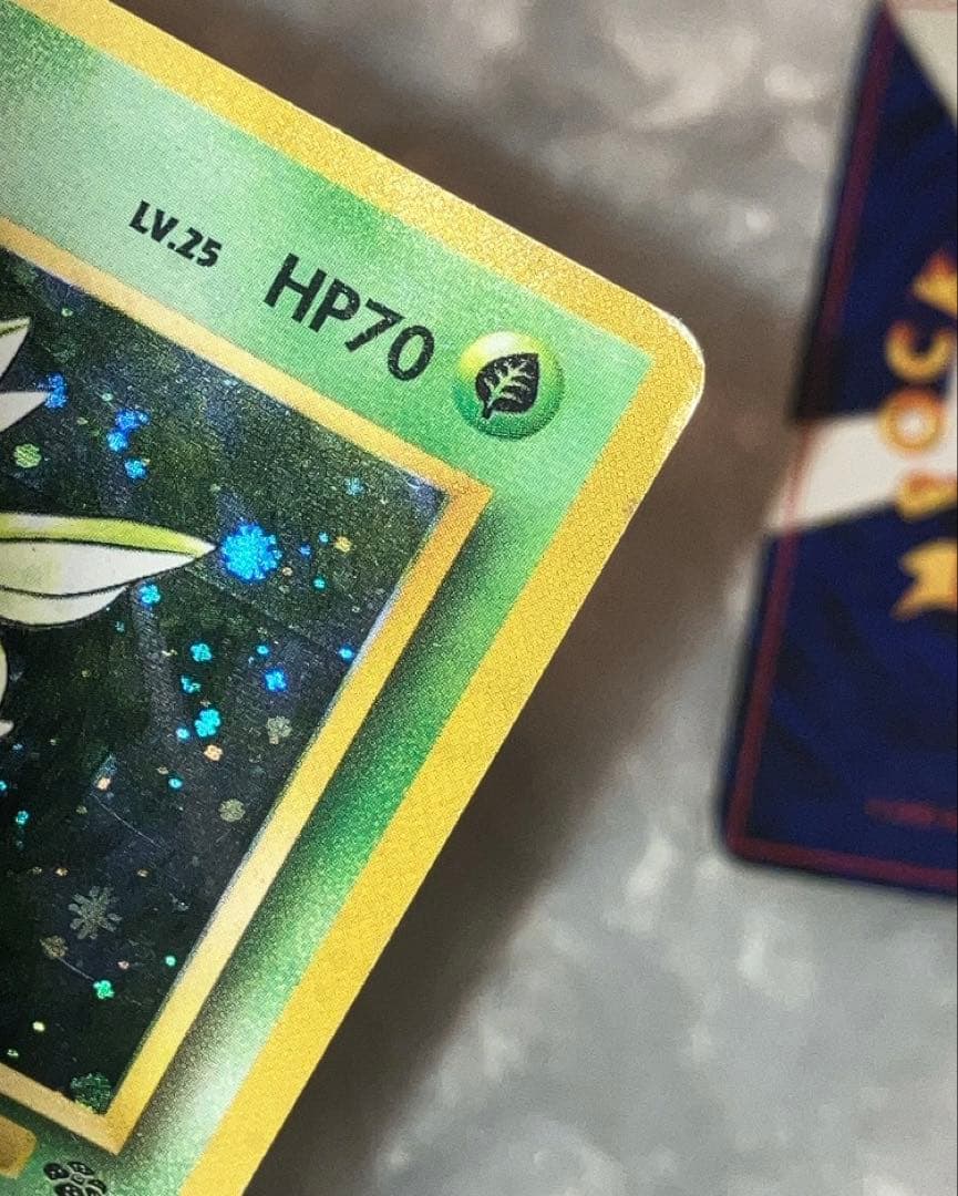 ポケカ 旧裏 ニドキング ストライク やさしいマリルリ セット