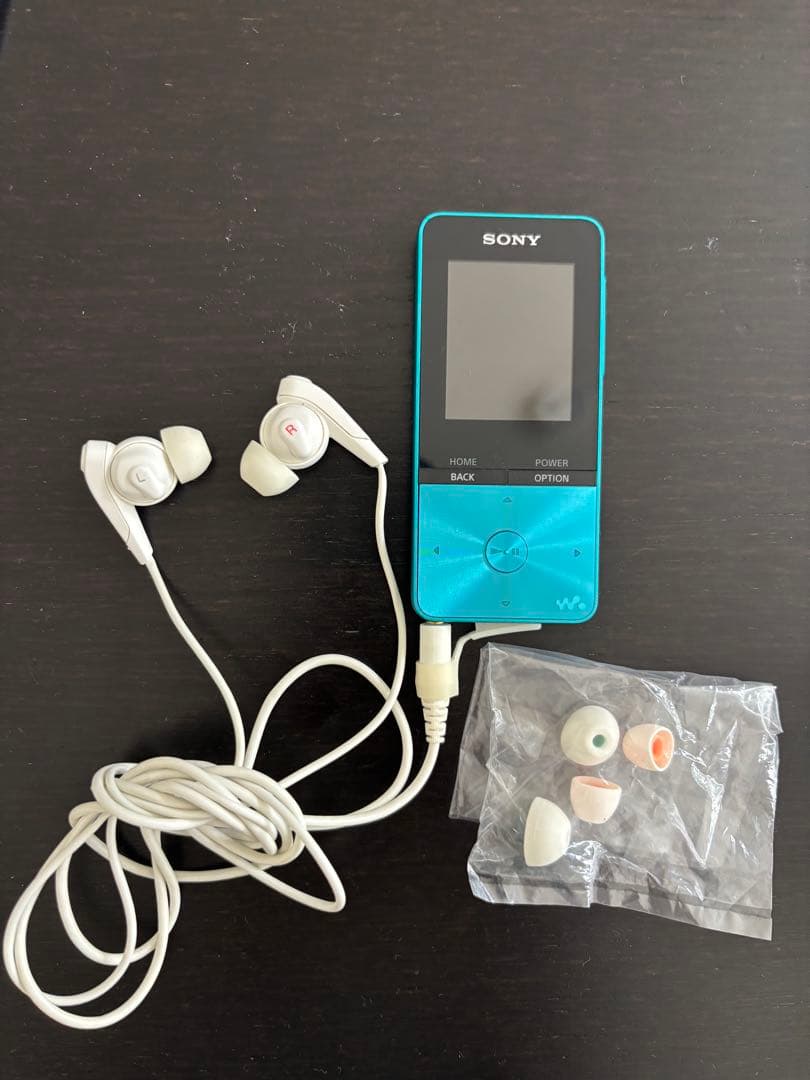 【説明書・スピーカー付き】SONY WALKMAN NW-S313