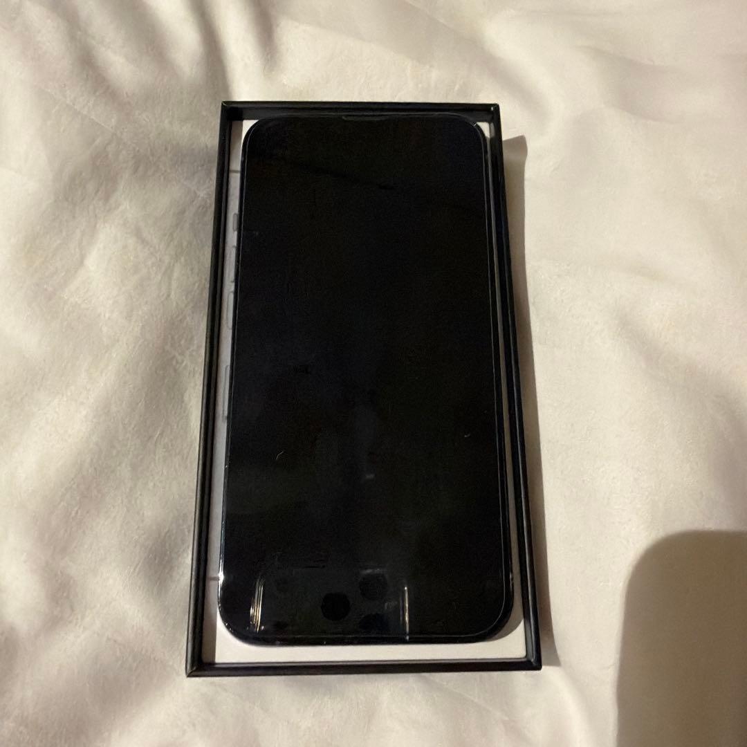 Apple アップルiPhone 13 Pro シエラブルー 256GB本体