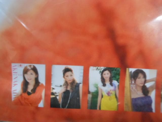 ◆美女　フリーアナウンサー　中田有紀　カレンダーポスターまとめて５点　４０ポーズ