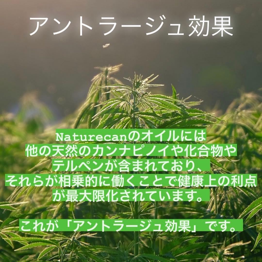 HHBDリキッド　0.5ml 510規格　高濃度配合　CBN CBG H4CBH