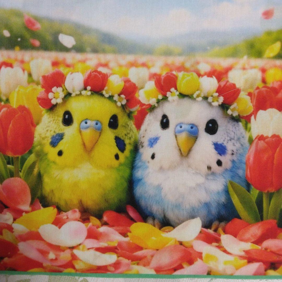 ☆受付☆インコ