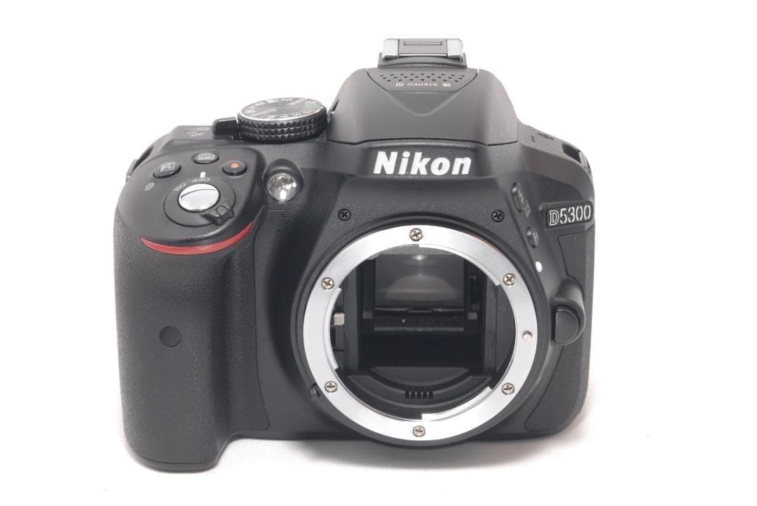 ⭐️望遠レンズ付き⭐️Nikon D5300　ニコン　デジタル一眼レフ