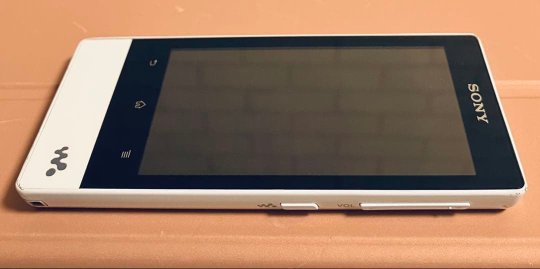 【ディスプレイ　バッテリー良好】SONY ウォークマン　NW-F806 32GB