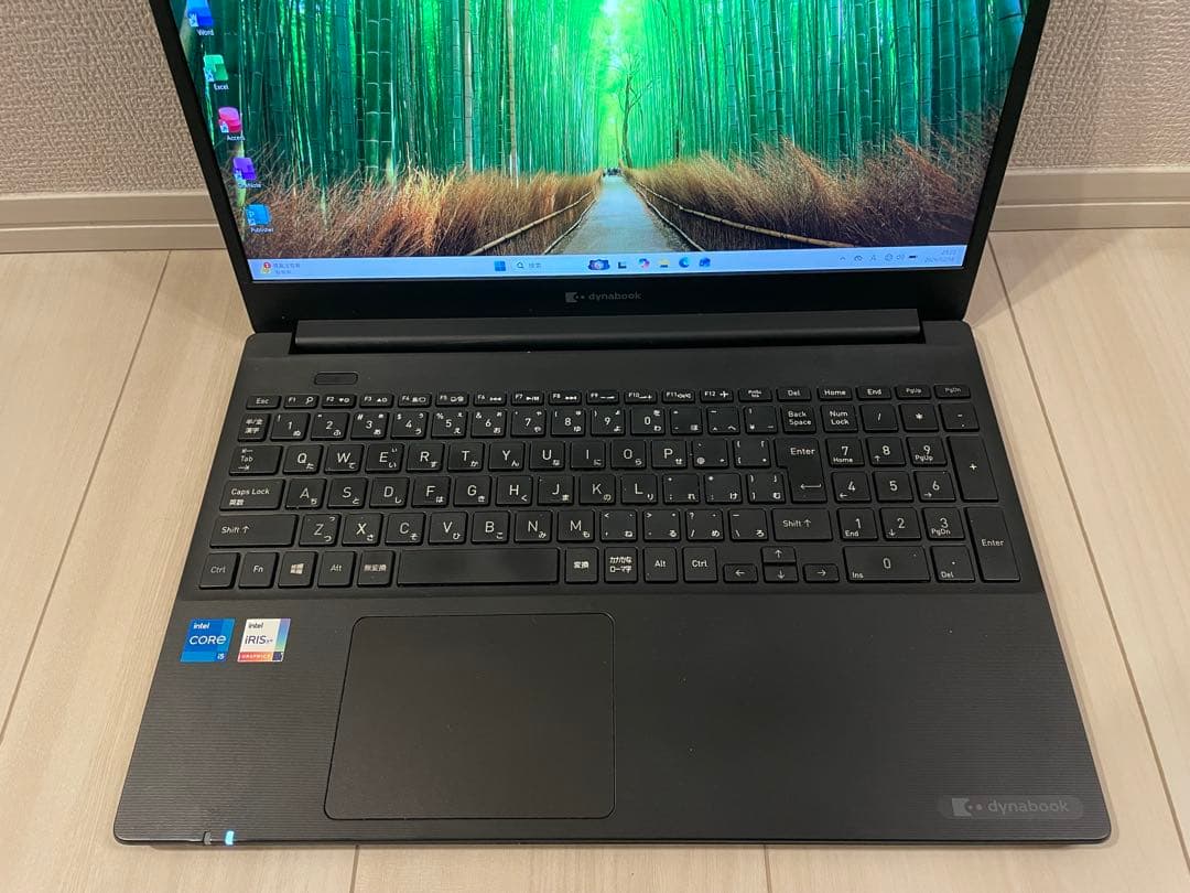 Dynabook PZ/HPB i5 11世代 256GB Office
