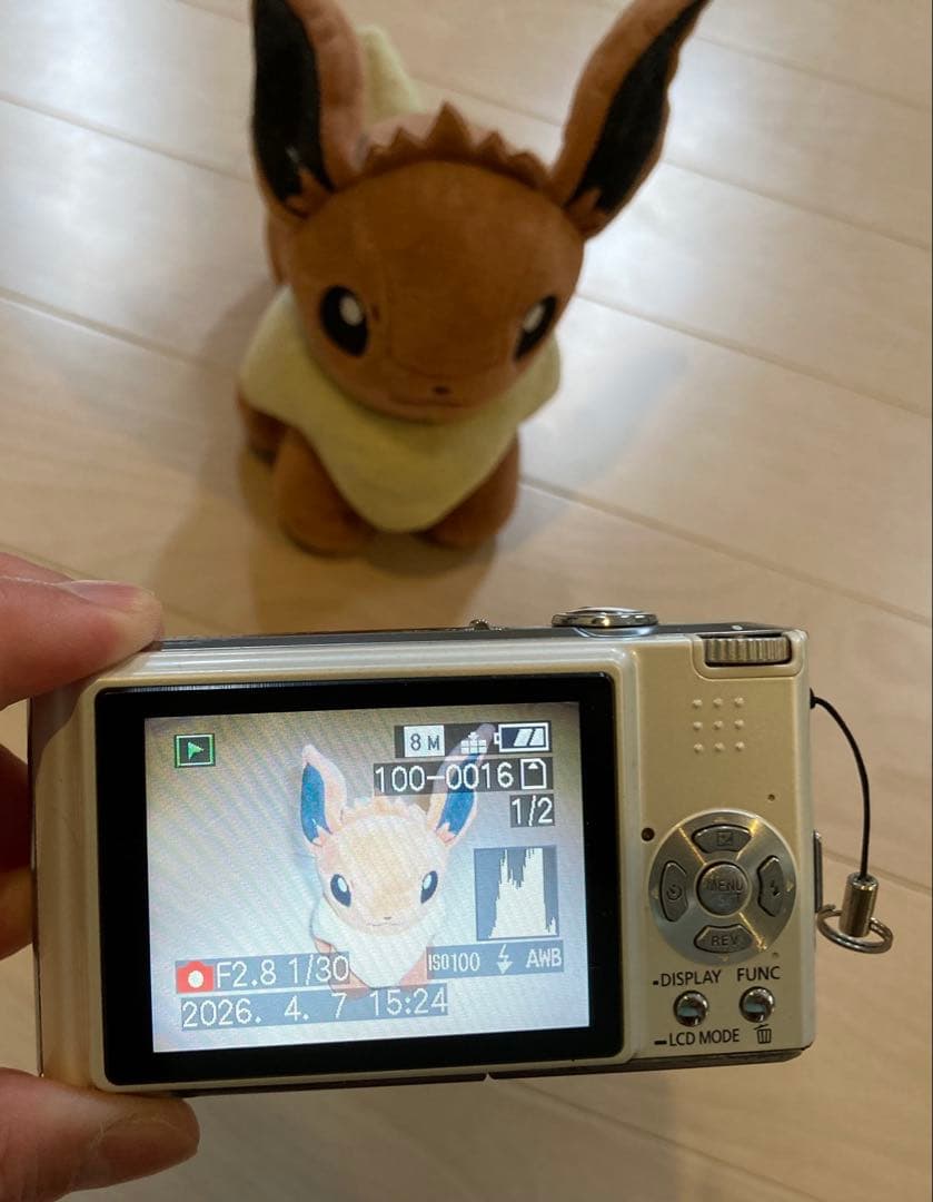 【動作確認済】パナソニック LUMIX DMC-FX33 オールドコンデジ