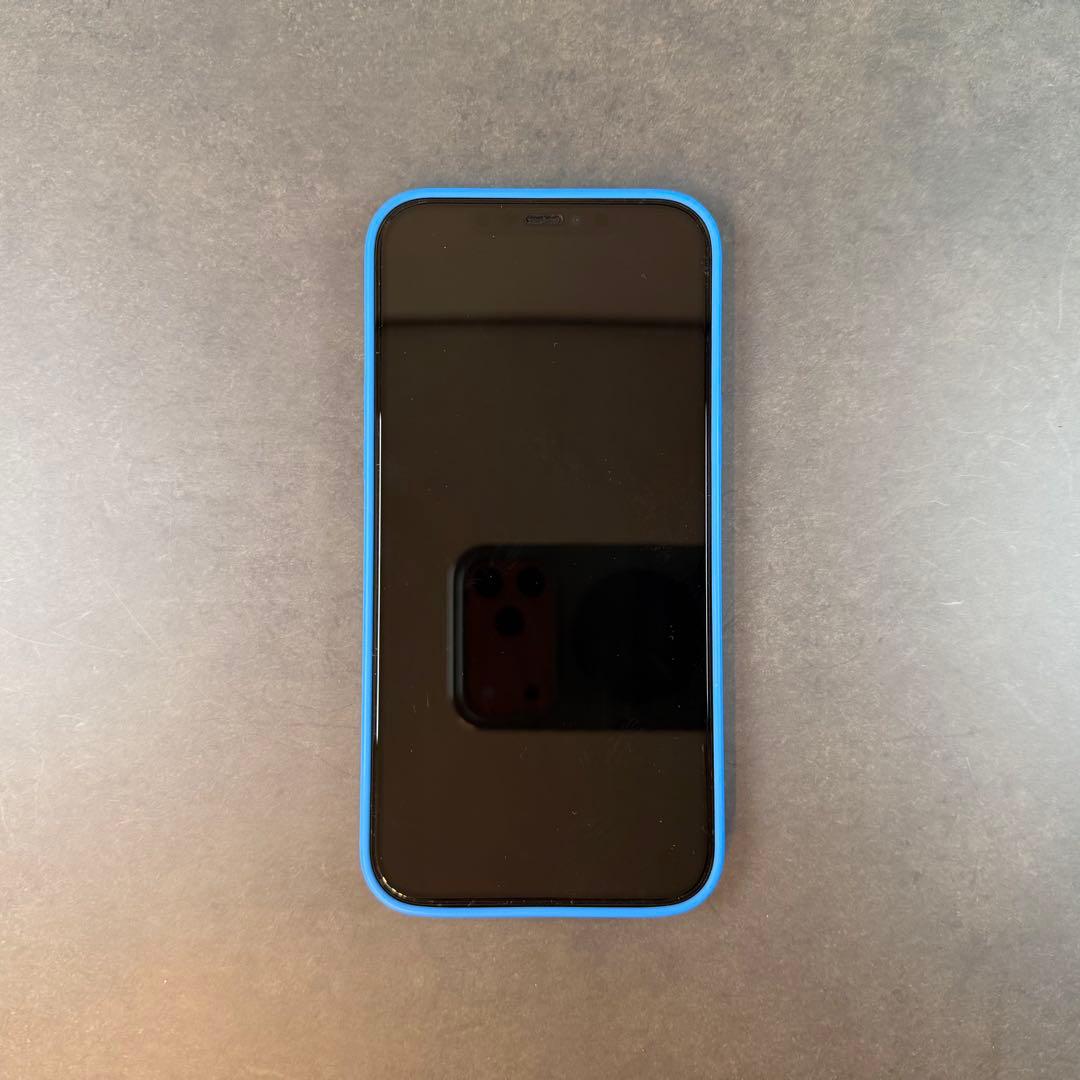 Apple iPhone 12 Pro Max + 純正ケース