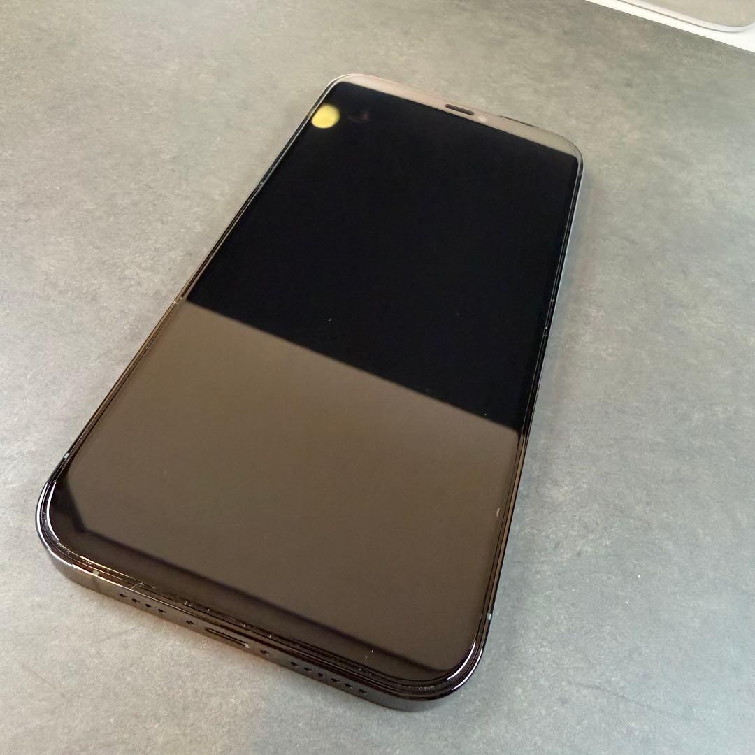 Apple iPhone 12 Pro Max + 純正ケース