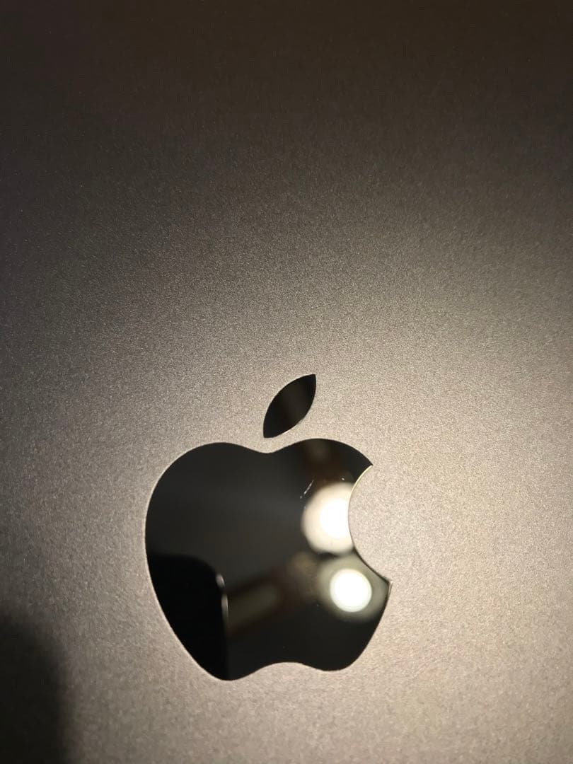 【16GB RAM】iPad Pro 11インチ 1TB M4（実用特価）