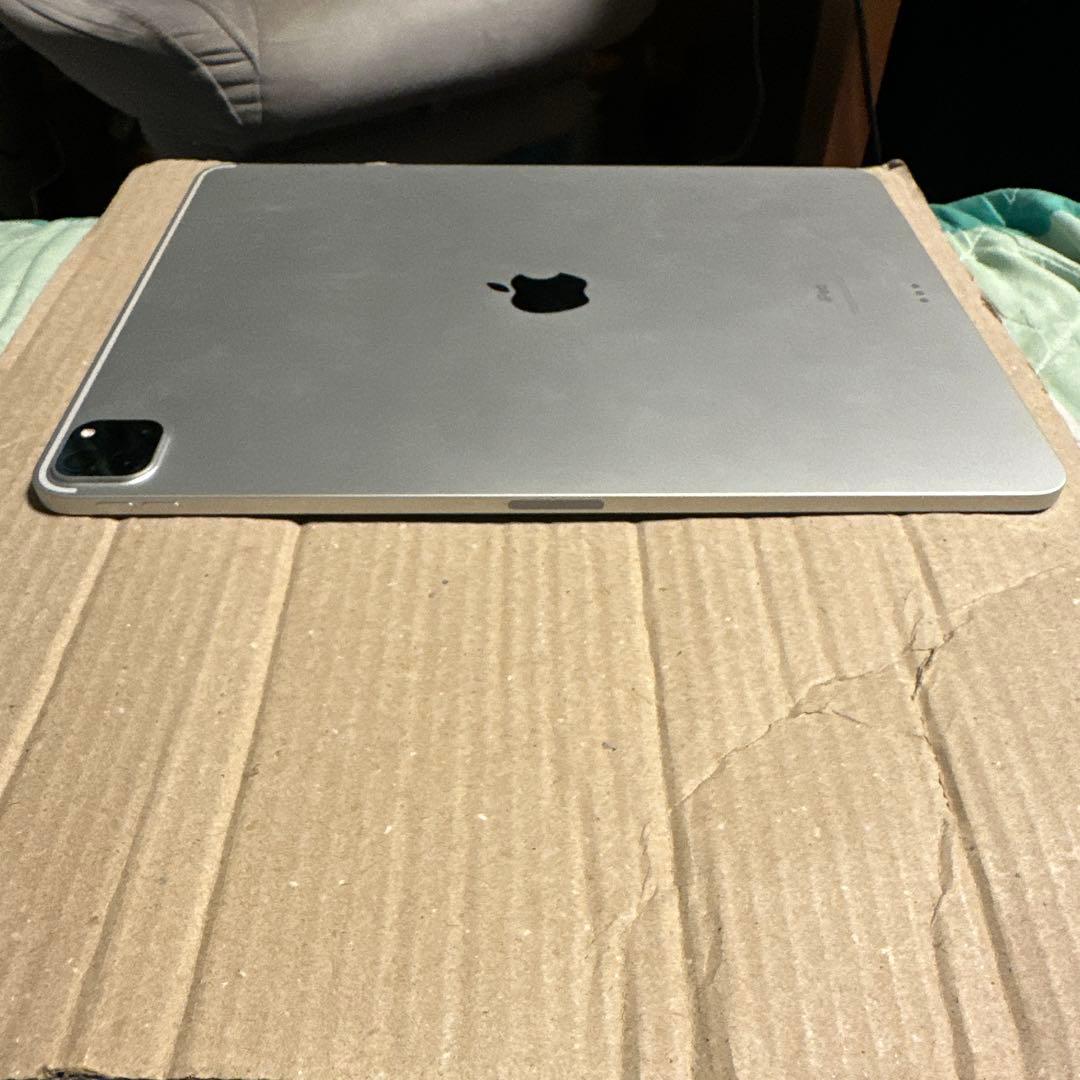 apple iPad pro M1 12.9インチ 第5世代128gb ジャンク