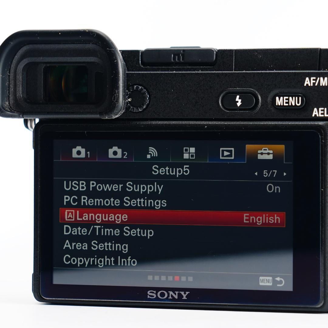 未使用級/1298回/SONY α6500L/5軸手ぶれ補正/64GB付