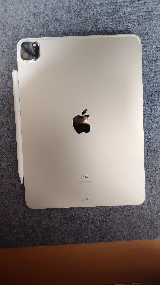 Apple iPad Pro 11インチ 第3世代 256GB ジャンク