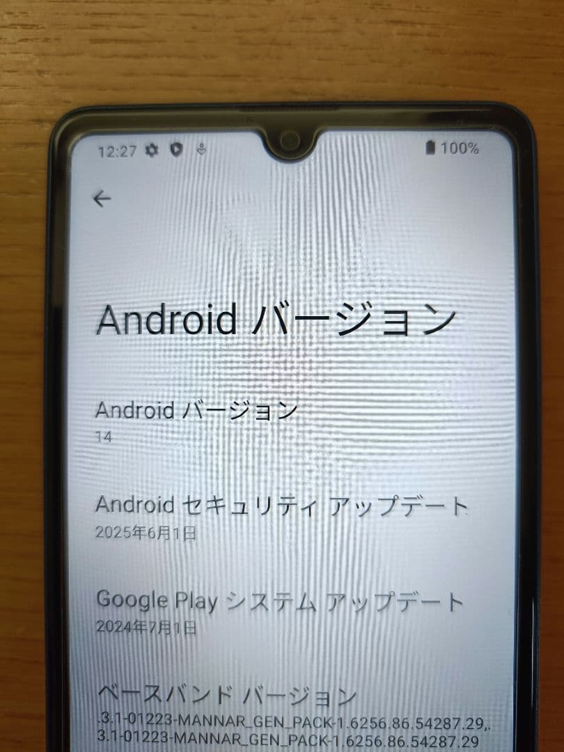 Sony Xperia Ace III 本体