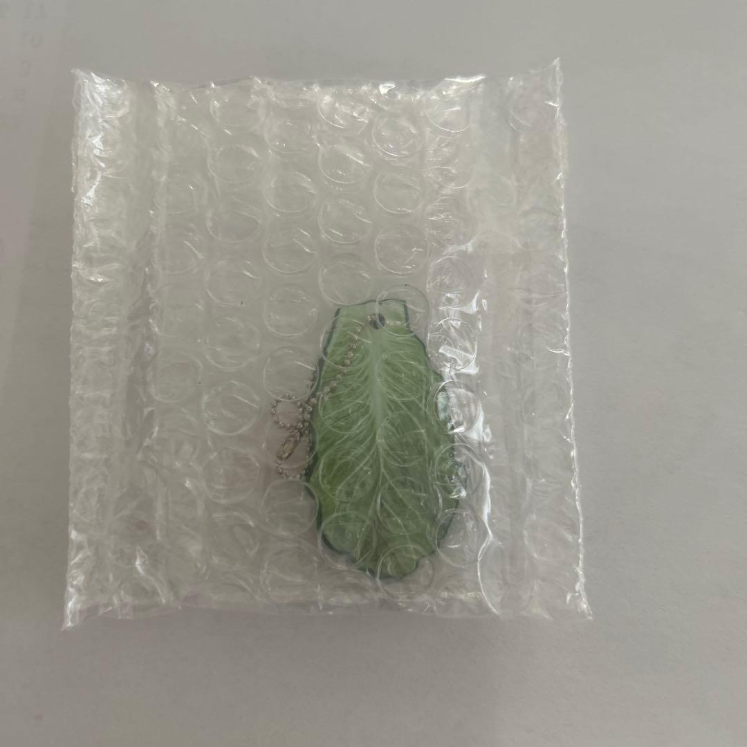 シュント メンプロ