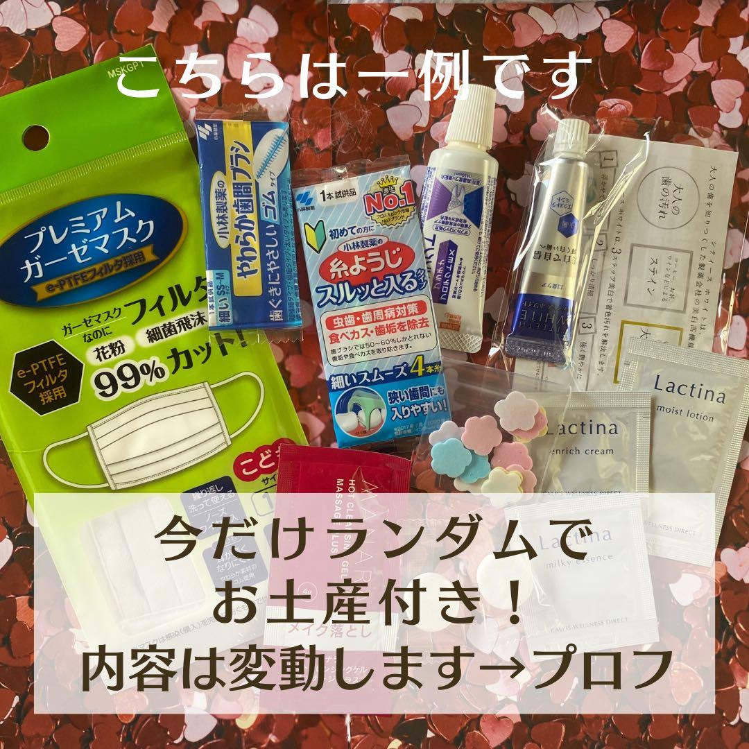 NINE WEST ボストン　キャリーバック　機内持ち込み　布
