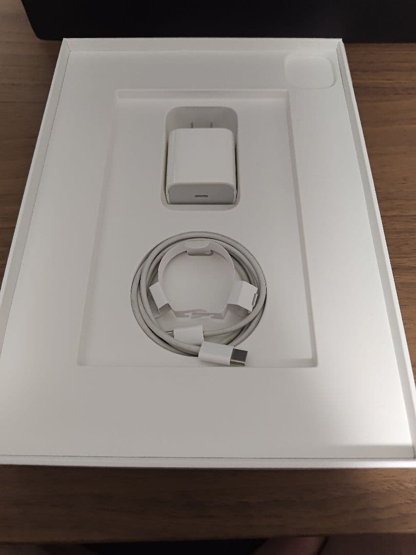 iPad Pro 11インチ 第2世代 128GB シルバー セルラー au