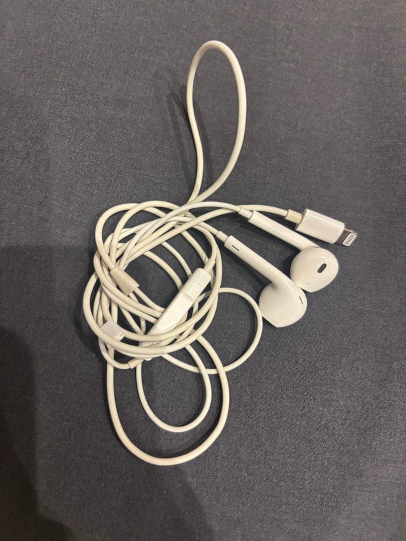 Apple iPhone 11 本体 パープル