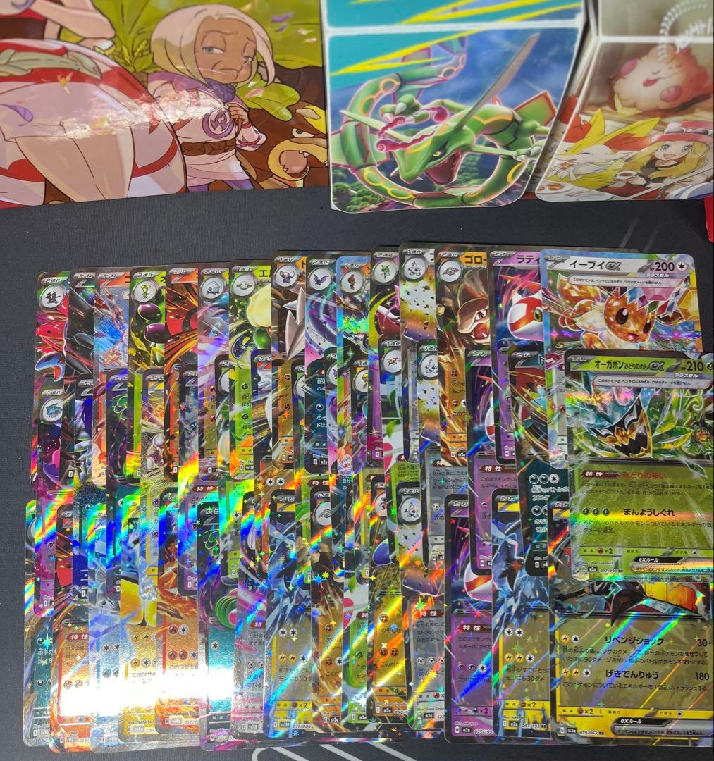 り*ご様 ポケモンカード　引退品