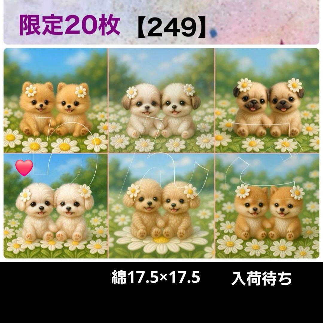 ねこ様確認用