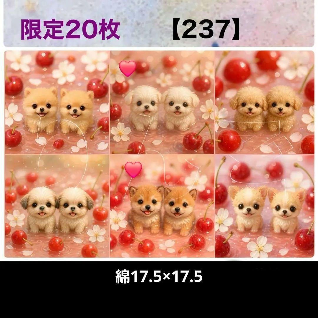 ねこ様確認用