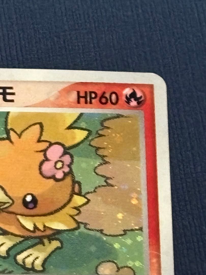 ポケモンカード ポケパークアチャモ HP60 002/209