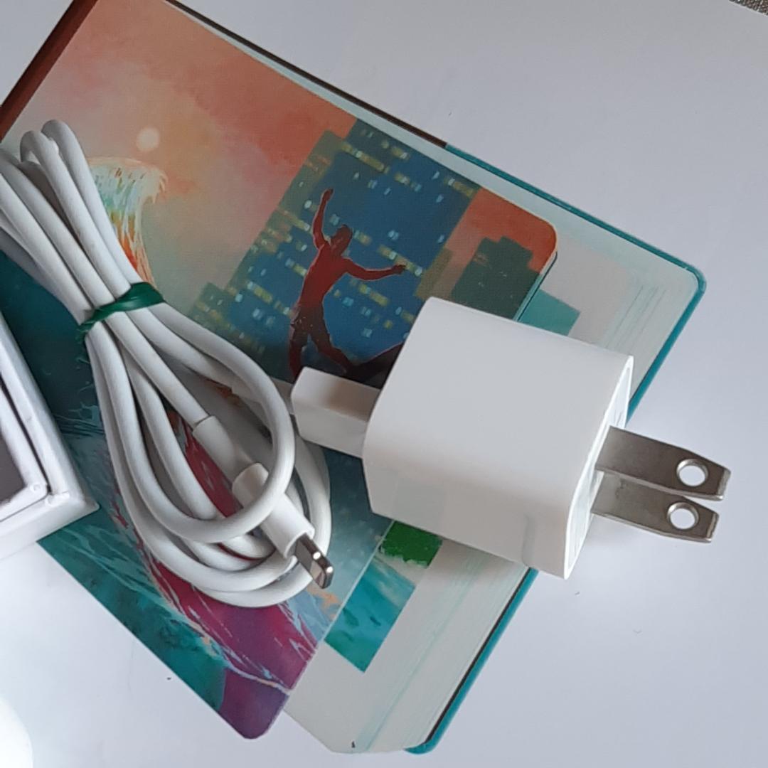 ☆ アップル AirPods ☆1st 100%/99% Apple エアポッズ
