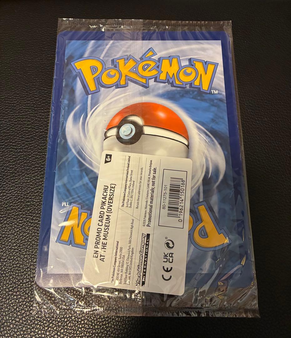 Pikachu at the Museum ピカチュウ ロンドン自然史博物館27