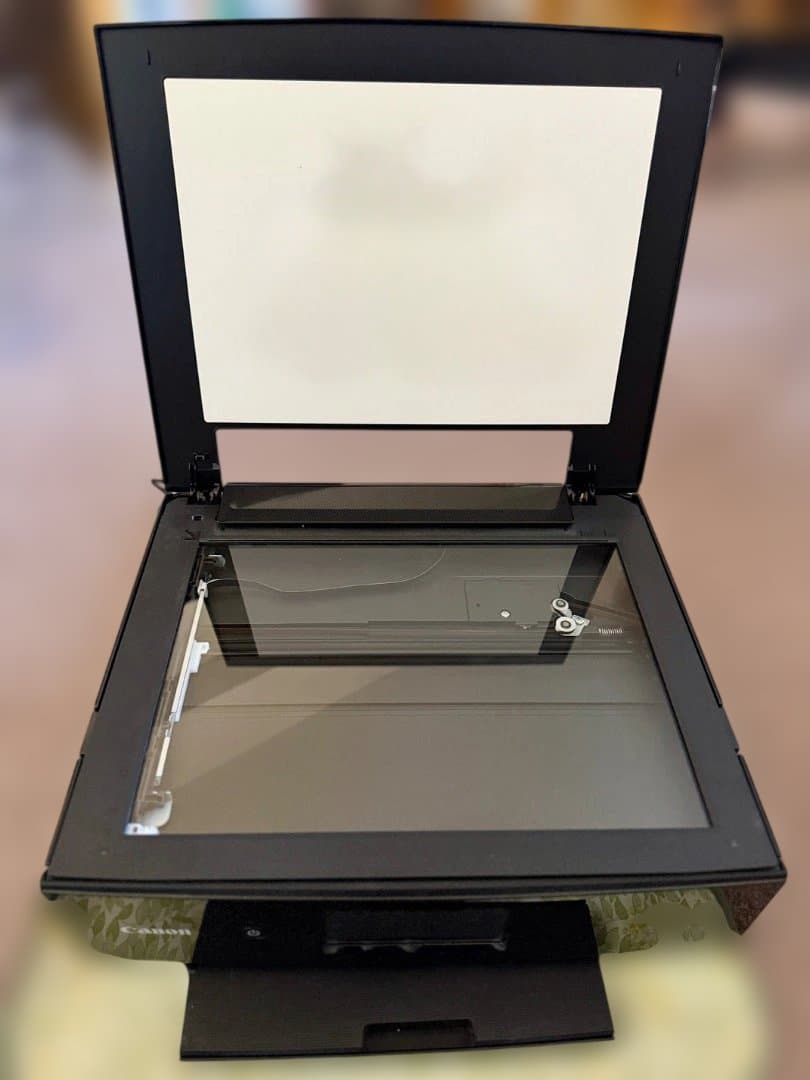 Canon PIXUS TS8230 印刷枚数 約2000 枚　付属品完備