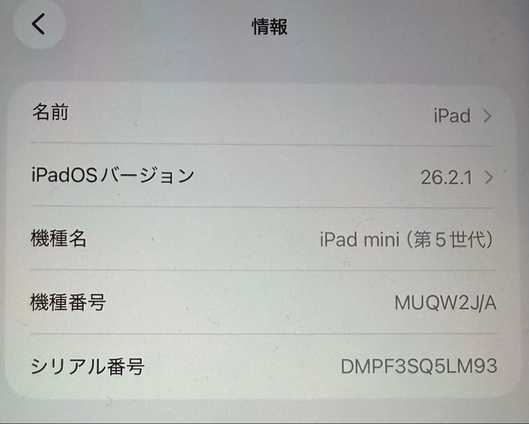 iPad mini 5 64GB ガラスフィルム　ケース　ペンシル付