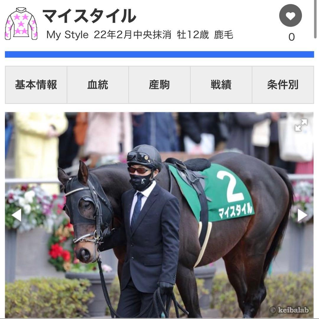【激レア】マイスタイル 実使用品 ゼッケン 当選引換券付