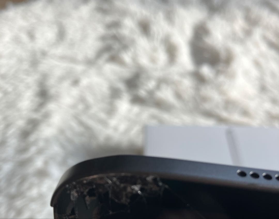 【早い者勝ち】iPad Pro 13インチ1TB 【すぐ発送】
