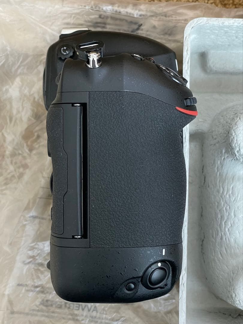 Nikon D4s <シャッター12回>