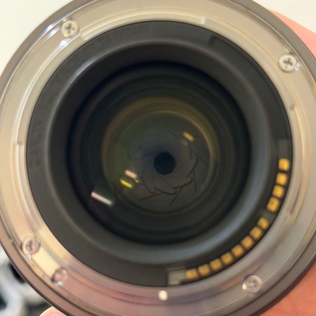 【おまけ付き】Canon RF24mm F1.8 MACRO IS STM 美品