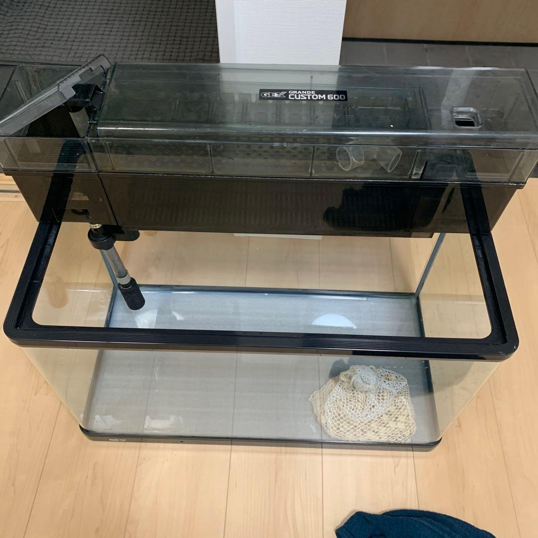 60センチさ水槽と上部フィルターセット 本日値下げ‼️