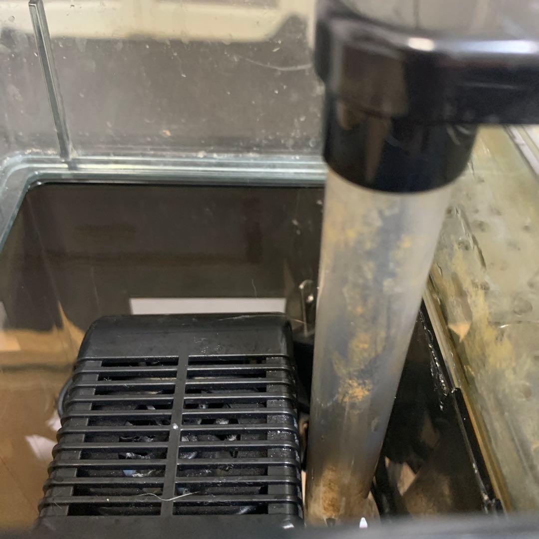 60センチさ水槽と上部フィルターセット 本日値下げ‼️