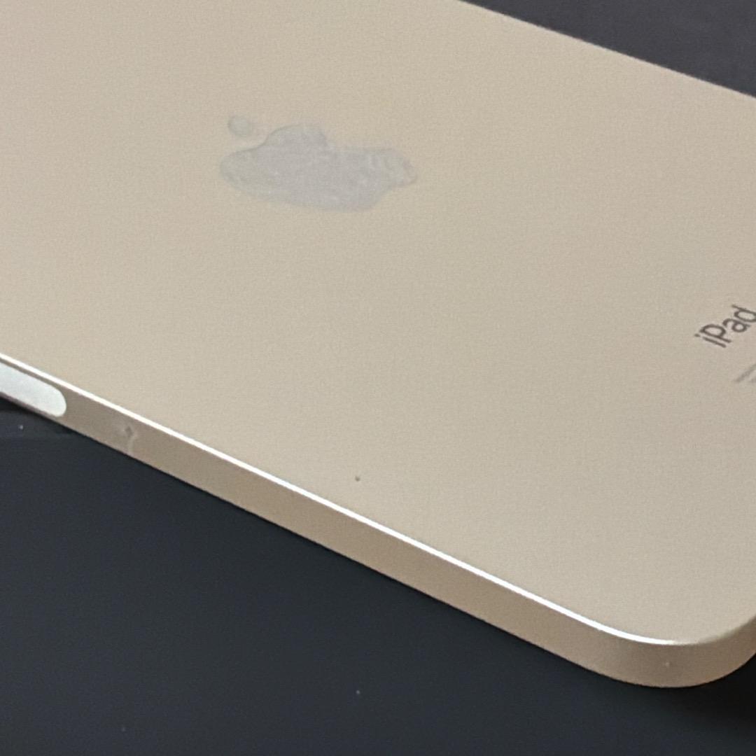 iPad mini6＋Apple Pencil第二世代＋純正スマートフォリオ