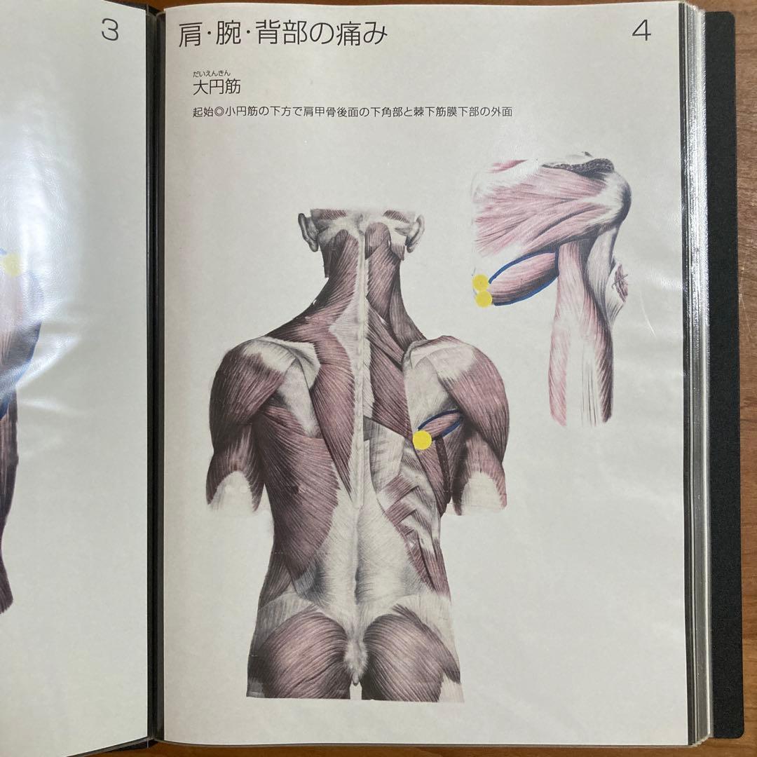 陰電位治療器 Aruku（アルク）