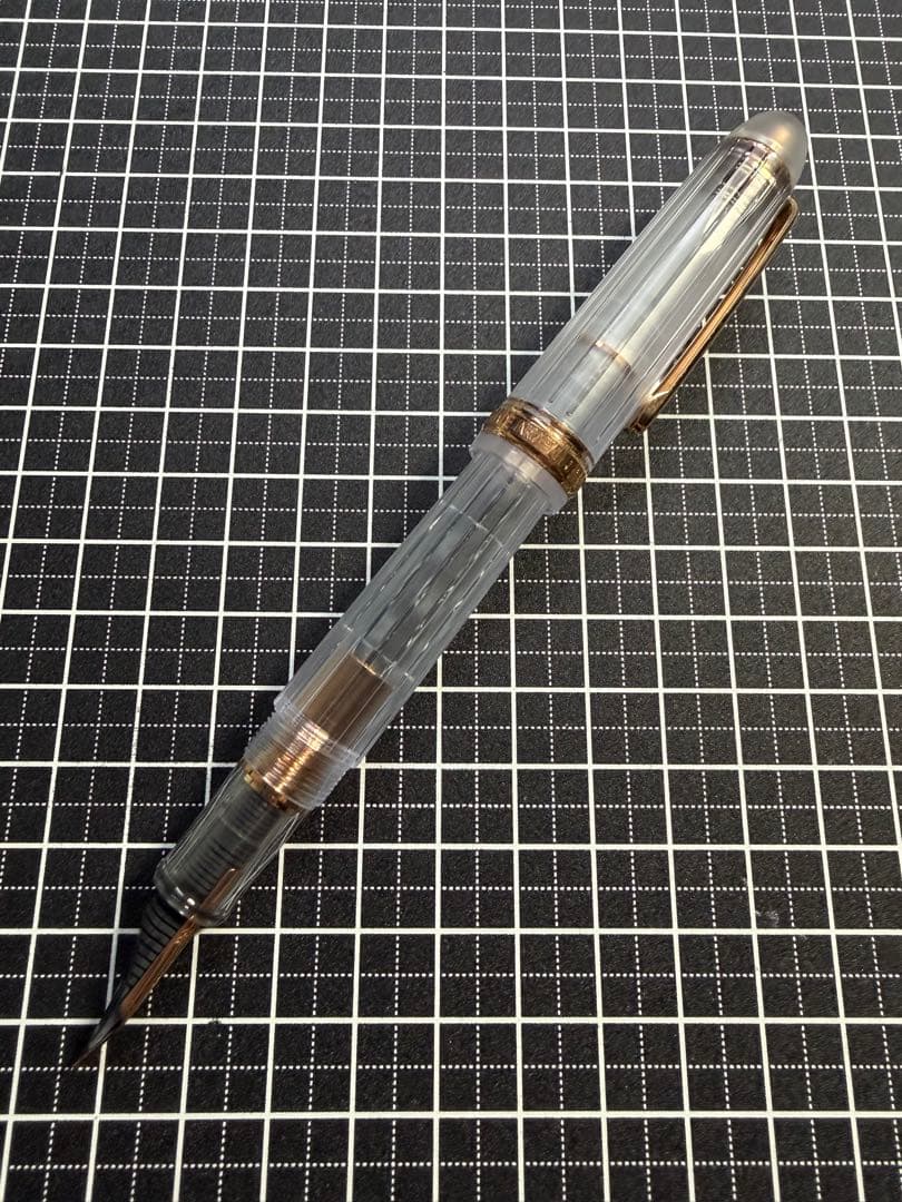 PLATINUM #3776 CENTURY NICE ROSE 万年筆　字幅M