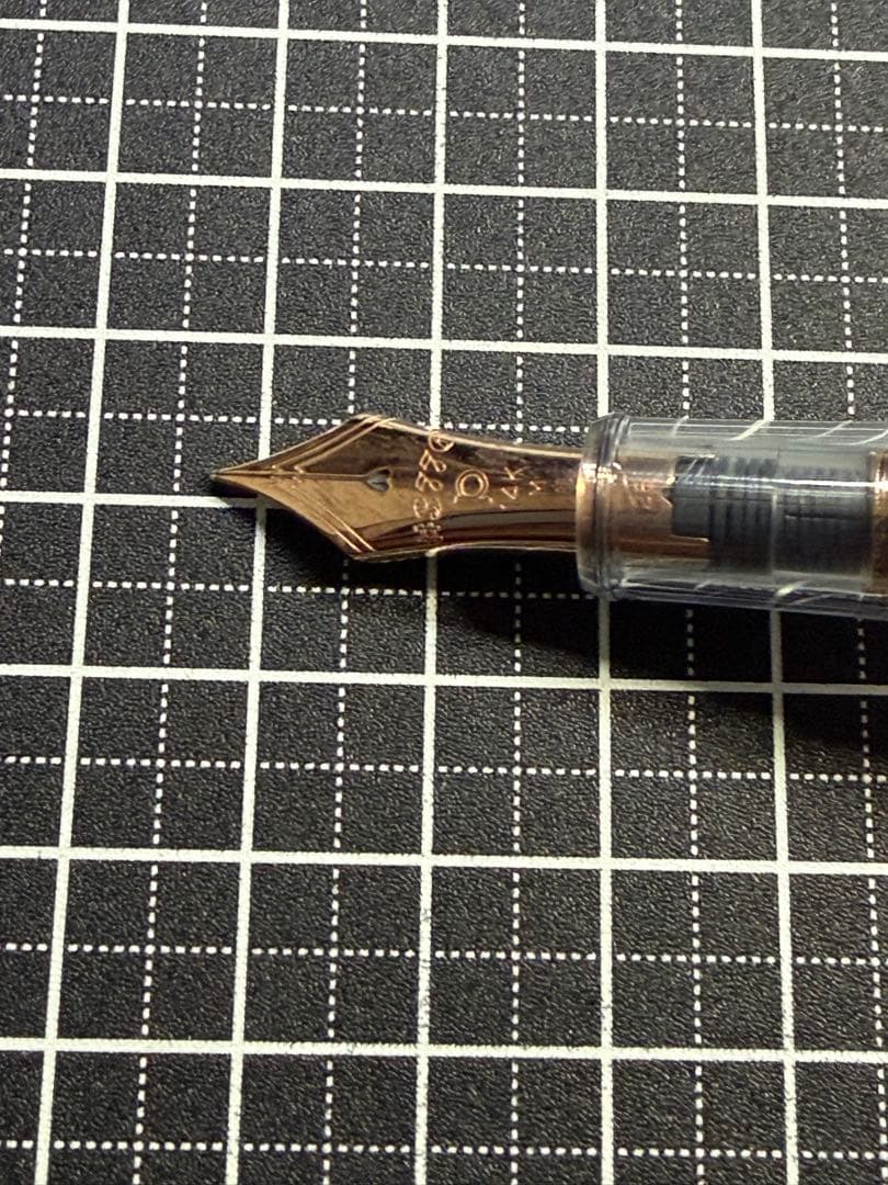 PLATINUM #3776 CENTURY NICE ROSE 万年筆　字幅M